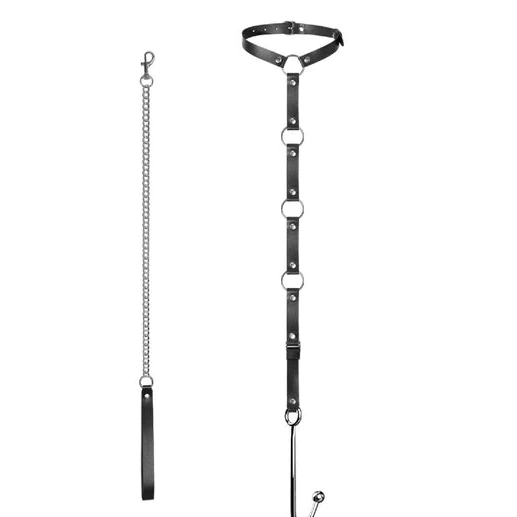 and Hook Kinky Collar Anal 5853 with EverydayUse Leash 1005